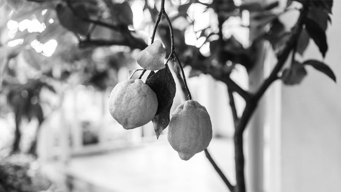 Vēlaties svaigu smaržu pavasarim? Mūsu padomi, kā atrast ideālo aromātu