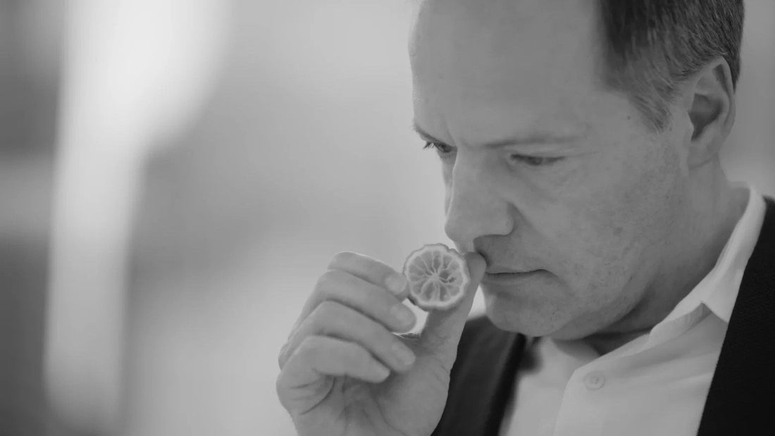 Stephen Nilsen Commodity Bergamotes - Stephen Nilsen