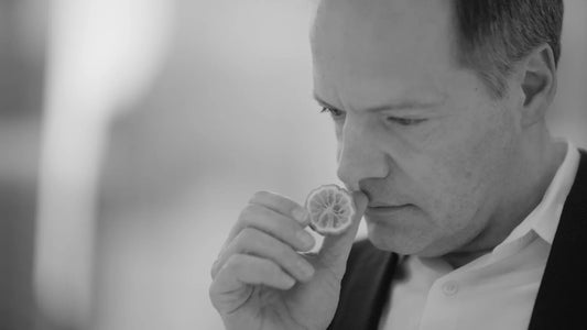 Stephen Nilsen Commodity Bergamotes - Stephen Nilsen